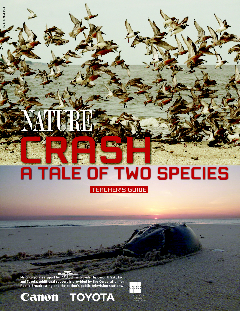 Cover of 'CRASH: Tale of Two Species' Teacher's Guide